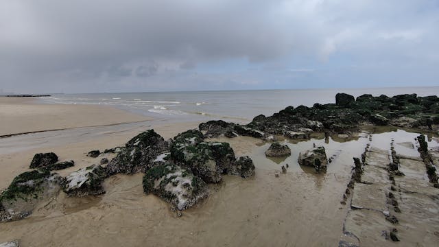 Strand Bredene