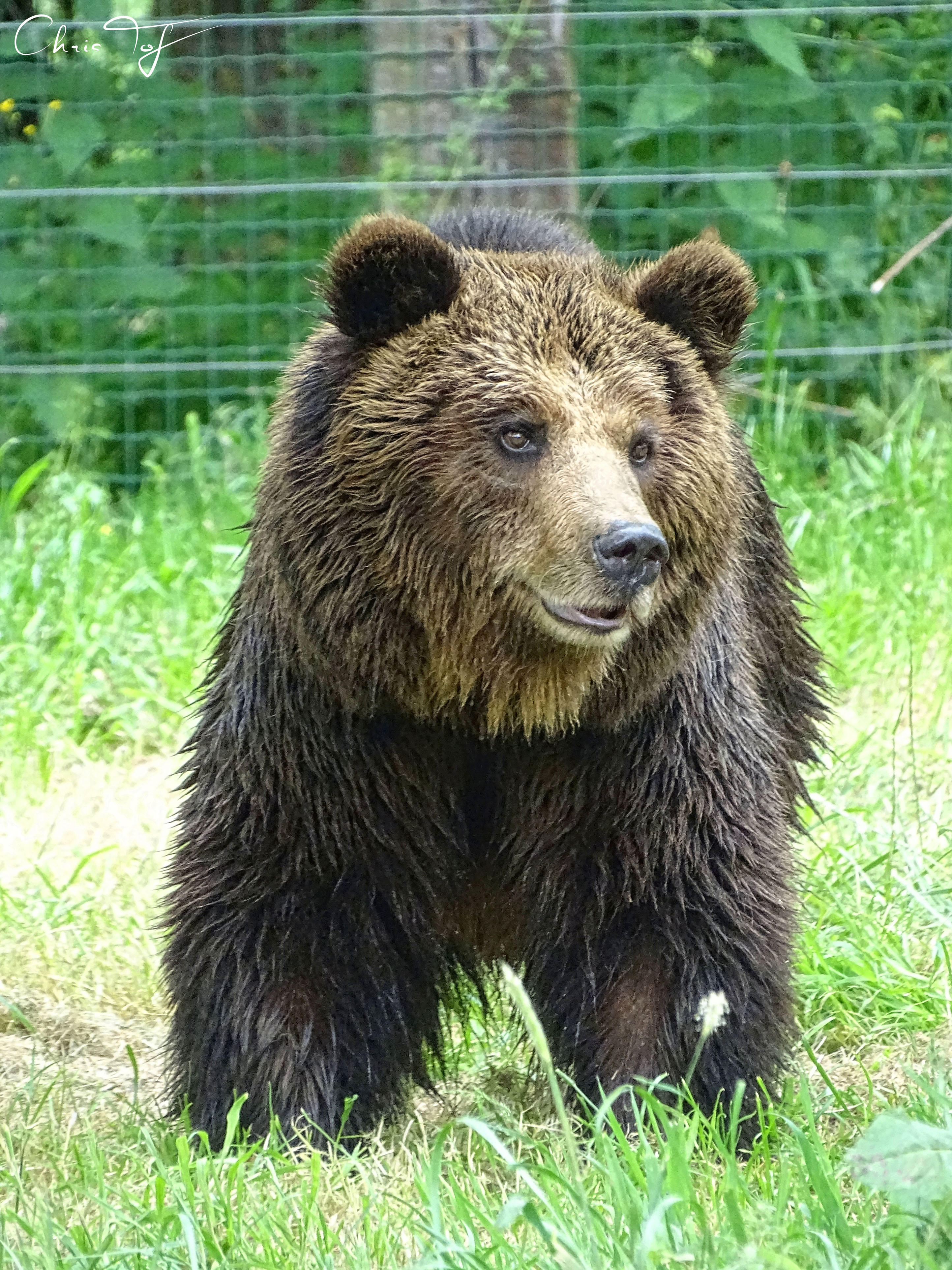 Wild Animal Sanctuary De Zonnegloed vzw