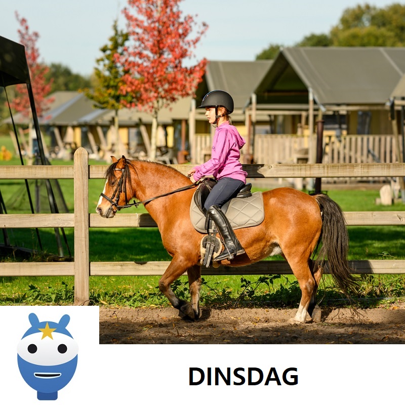 PONYRIJDEN