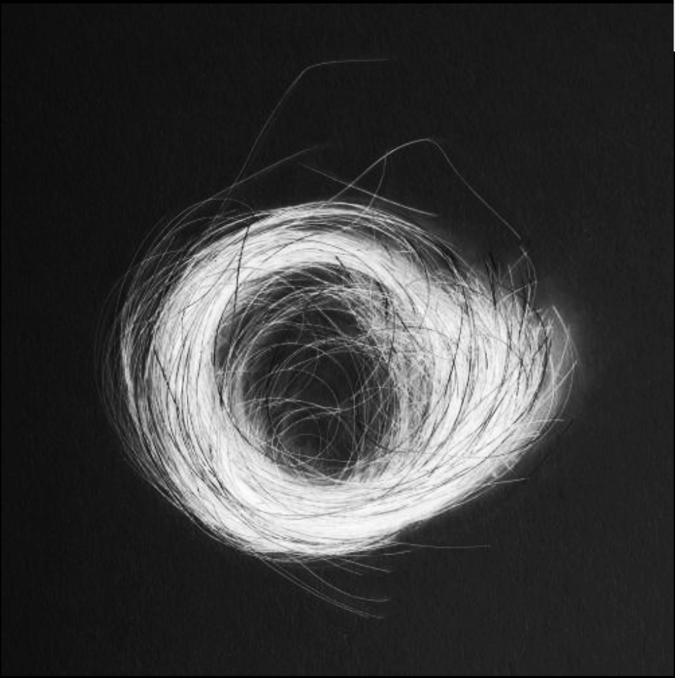 Micki Chomicki Gallery