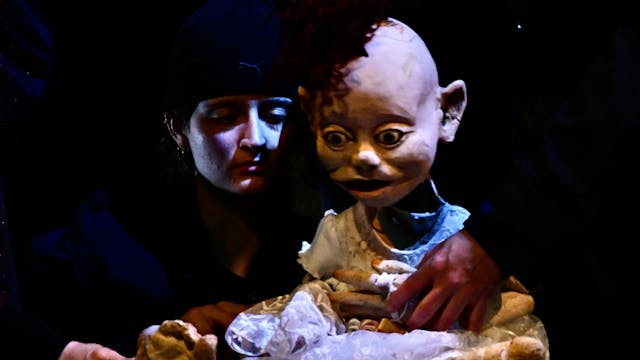 Prins Arthur V (8+) - FroeFroe