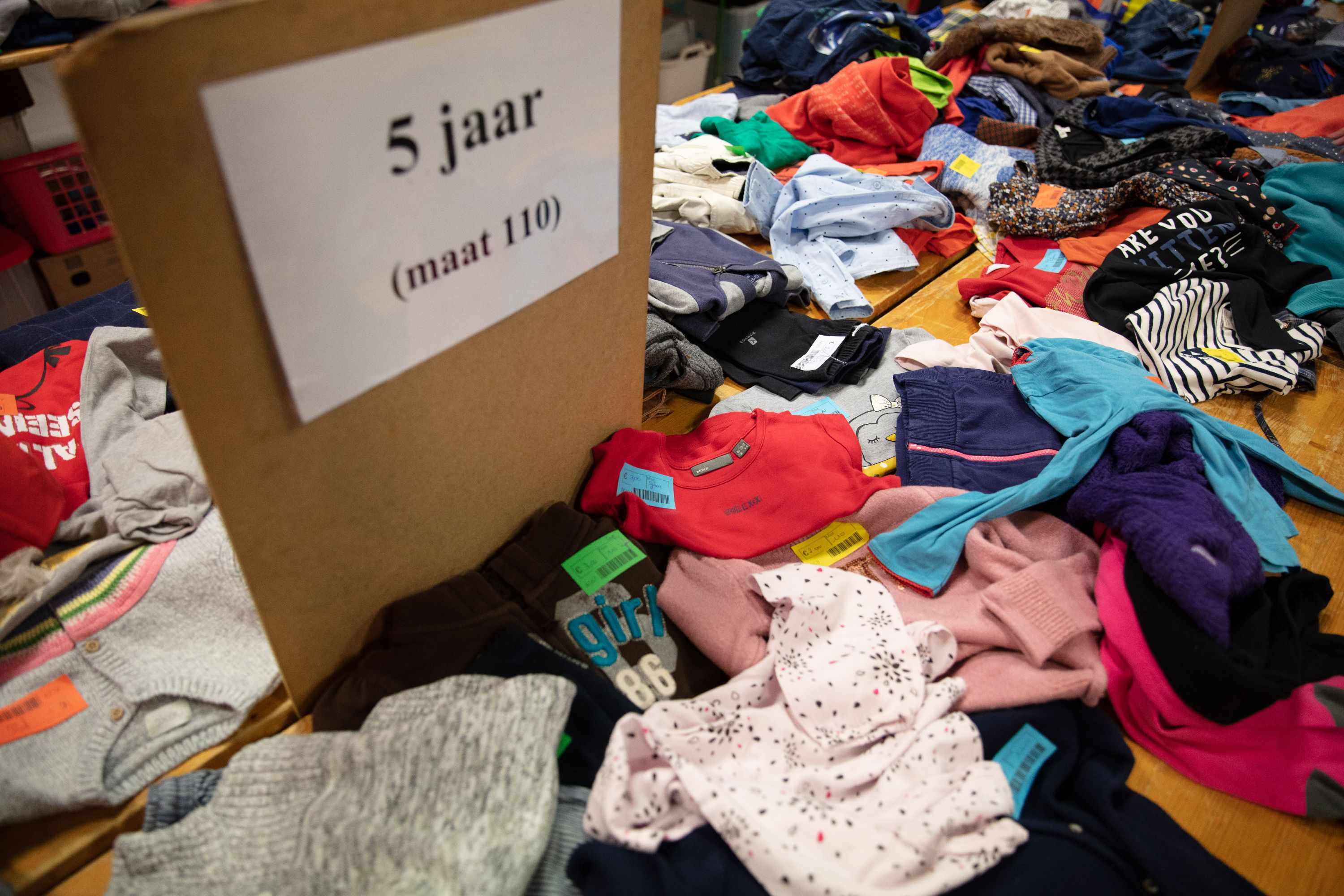 Image for gzbd activity