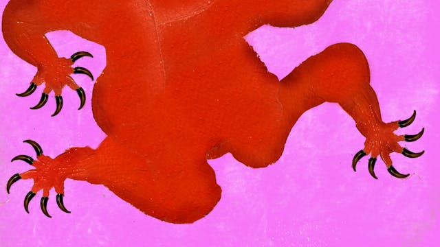 (c) Maxim Storms & Lobke Leirens