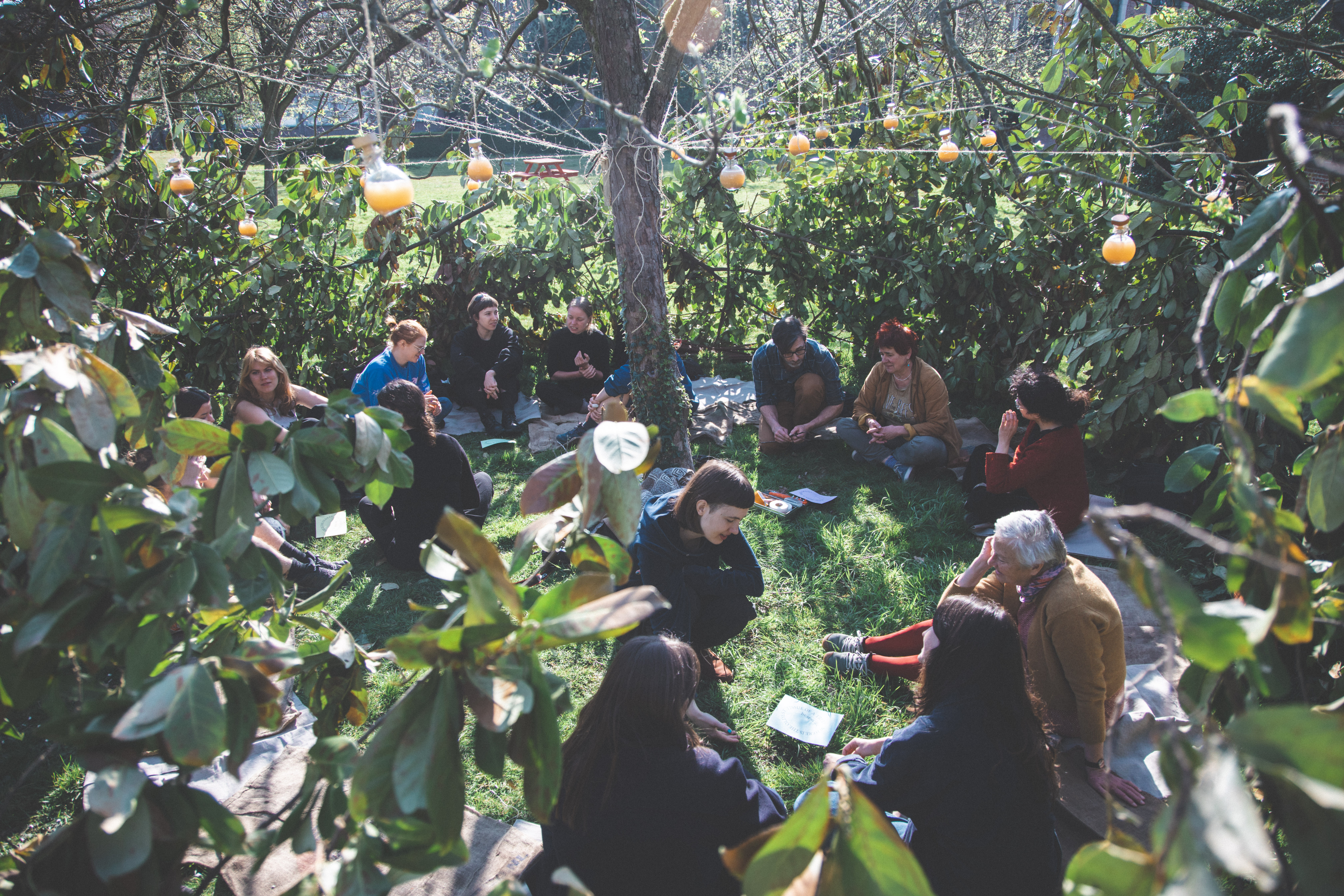 Reimagining the Bijloke: A Footnote, an Apple Tree