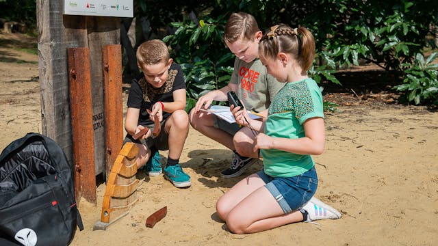 De Beestige Bosbewoners