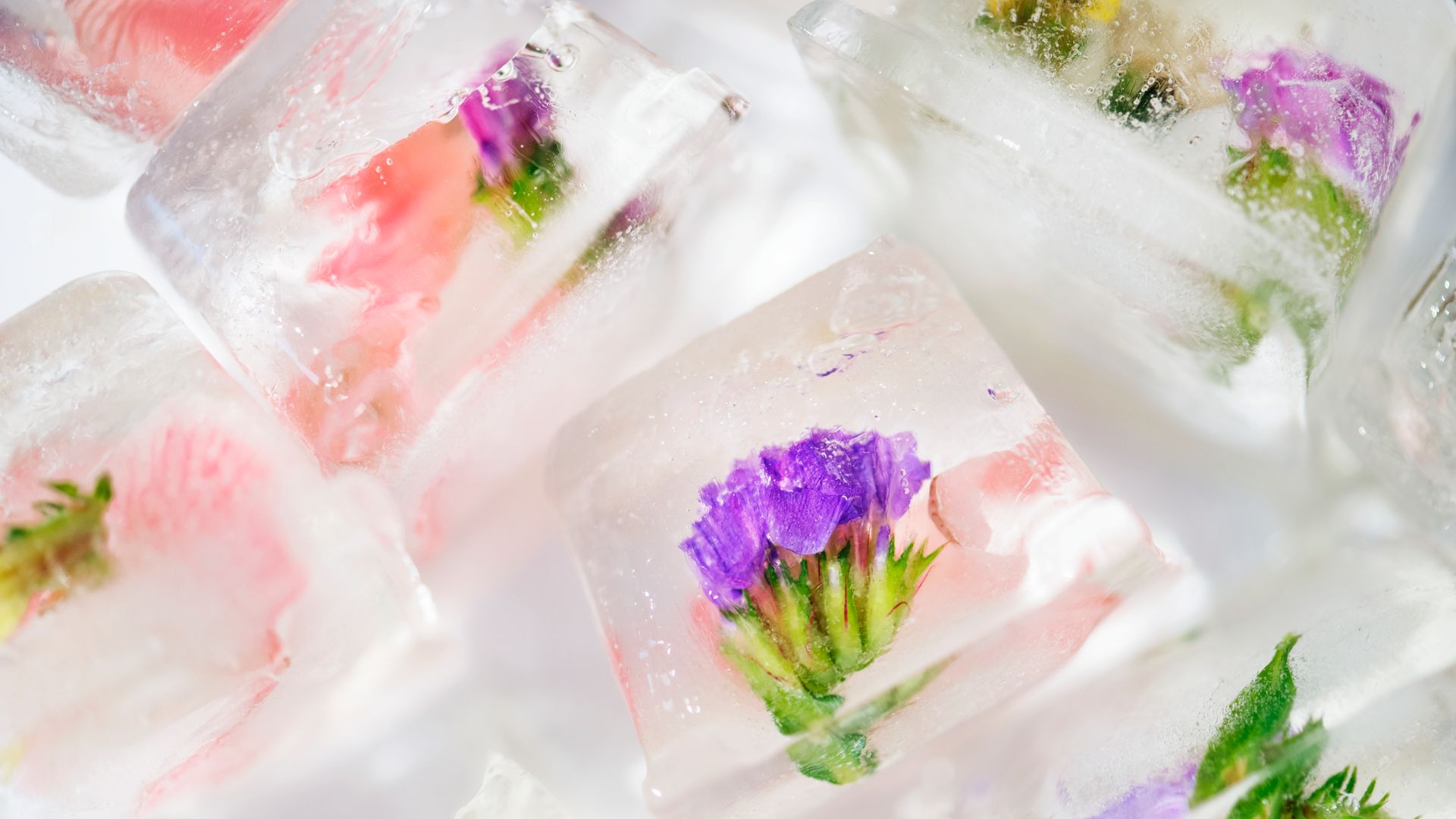 Bloemenijs - Twigs & Roses