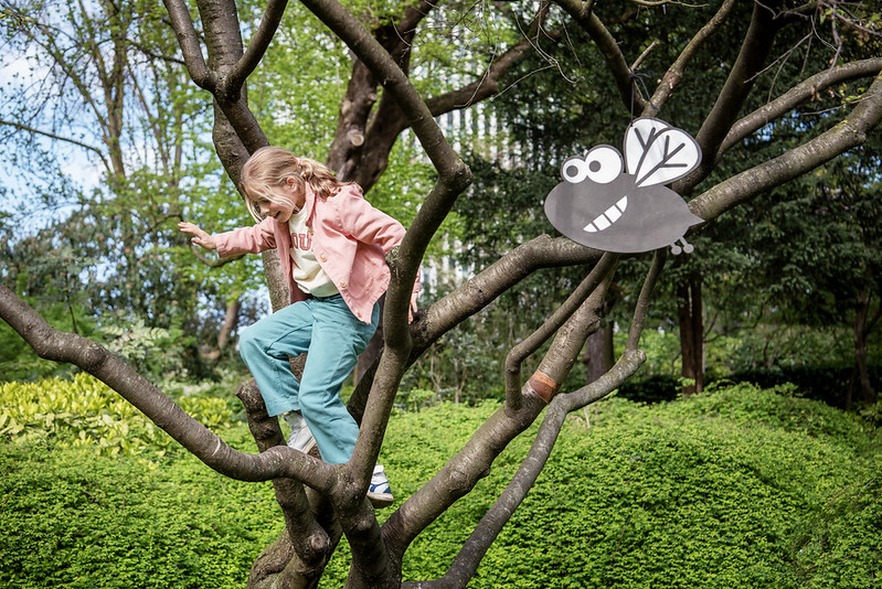 Zomer van Vlieg in bibliotheek De Pinte