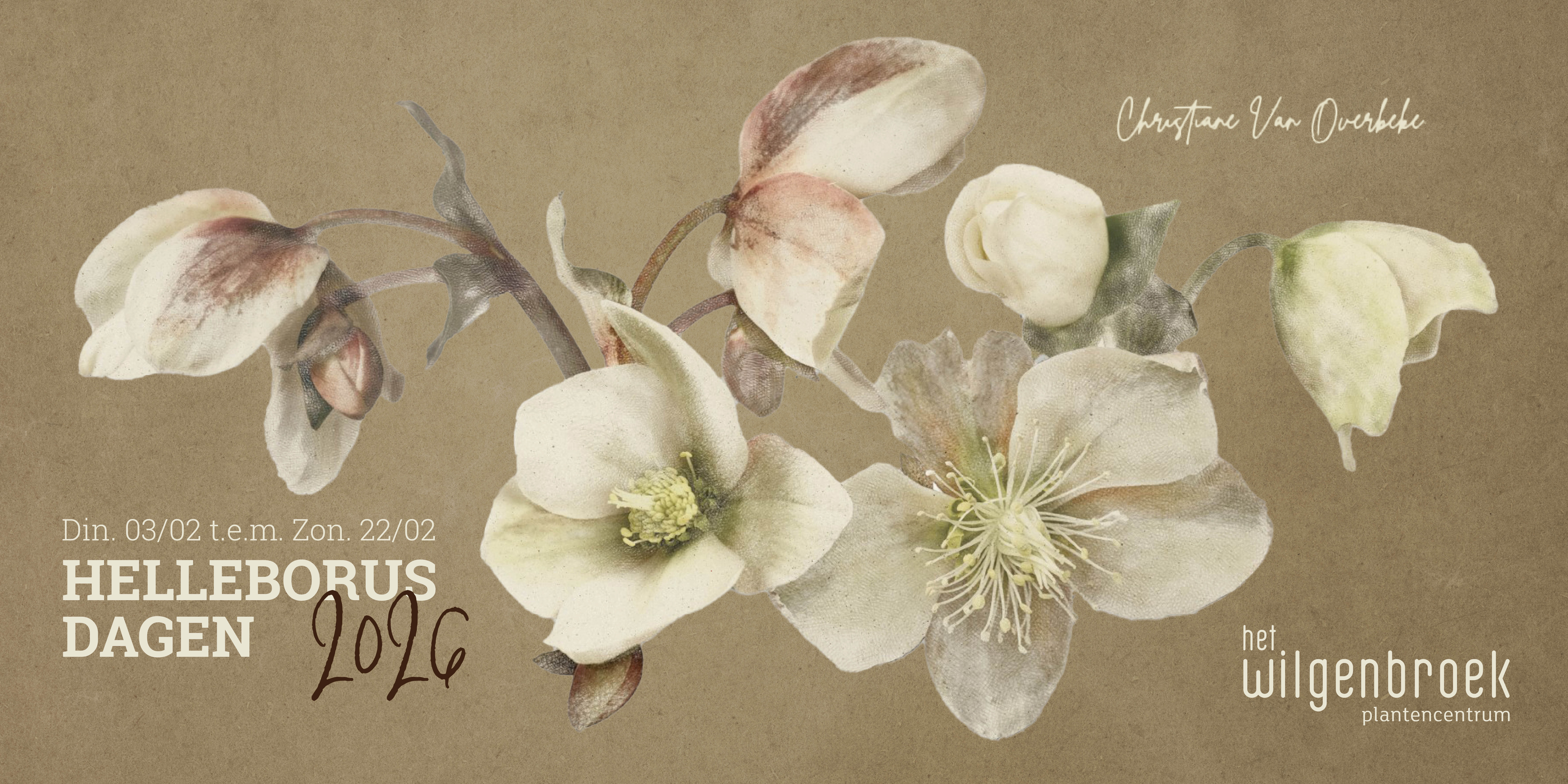 Van 3–22 februari vieren we Helleborusdagen! Geniet van workshops, familieplezier, kunst, bloemcreaties en ons Green Café. Kom de magie van de winterbloeier beleven!