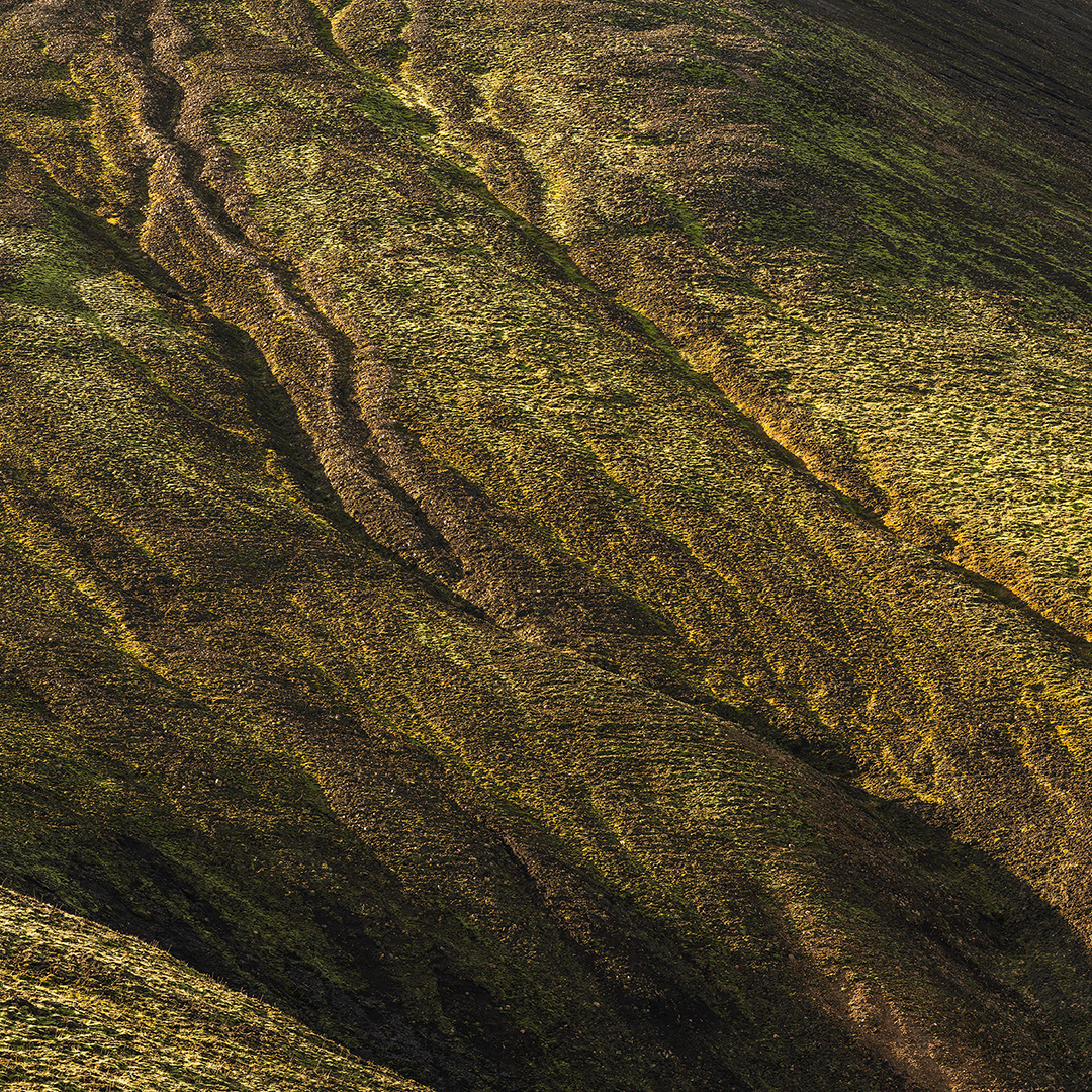 'Komodo' - 58x58 cm, Baryta Prestige II