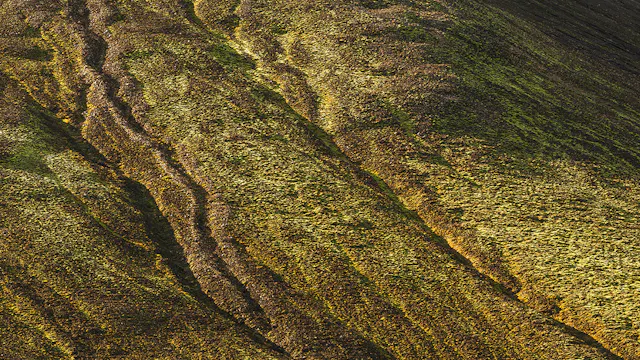 'Komodo' - 58x58 cm, Baryta Prestige II