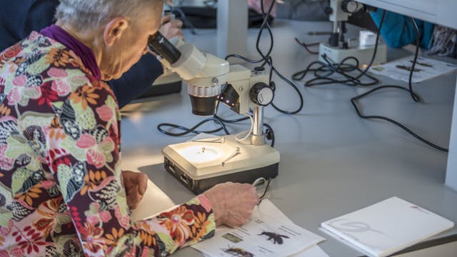 vrouw microscoop/bino