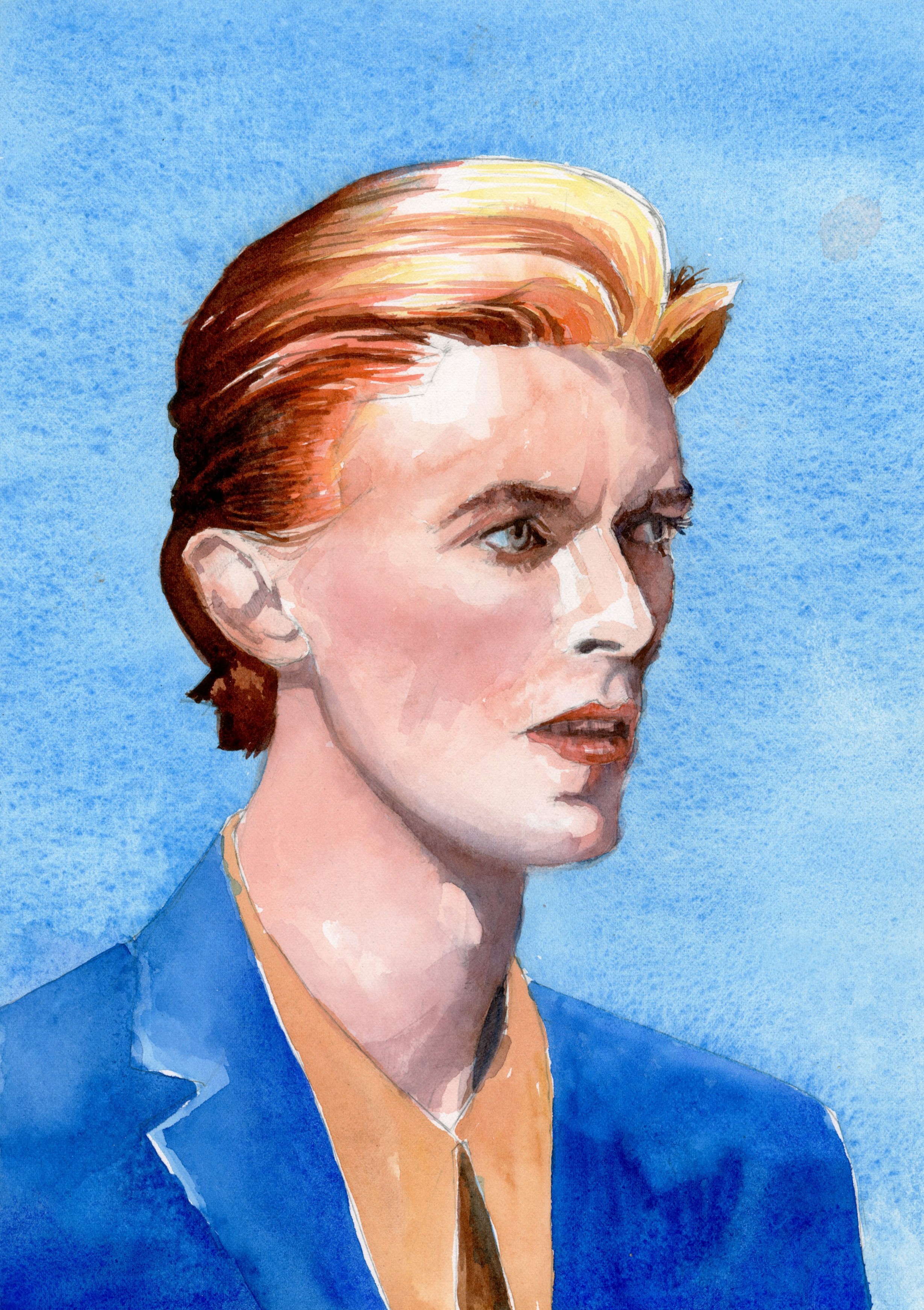 Danny Vliegen - Bowie: A Portrait In Transformation