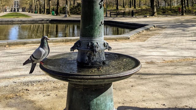 Fonteinenwandeling 2