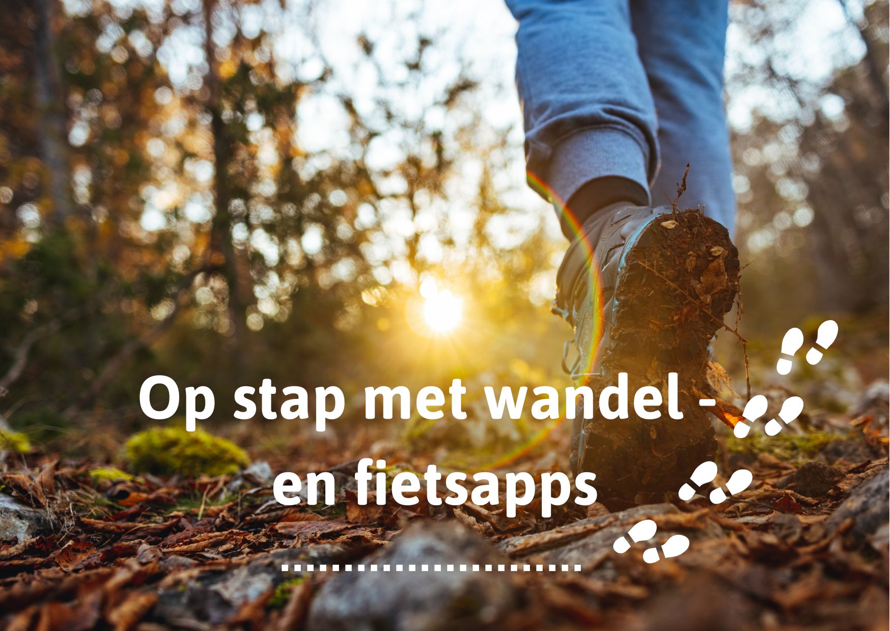 Wandel - en fietsapps