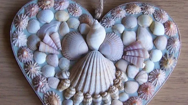 Hartje van zeeschelpen