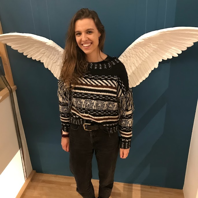 We vliegen erin met Vleugels