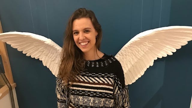 We vliegen erin met Vleugels