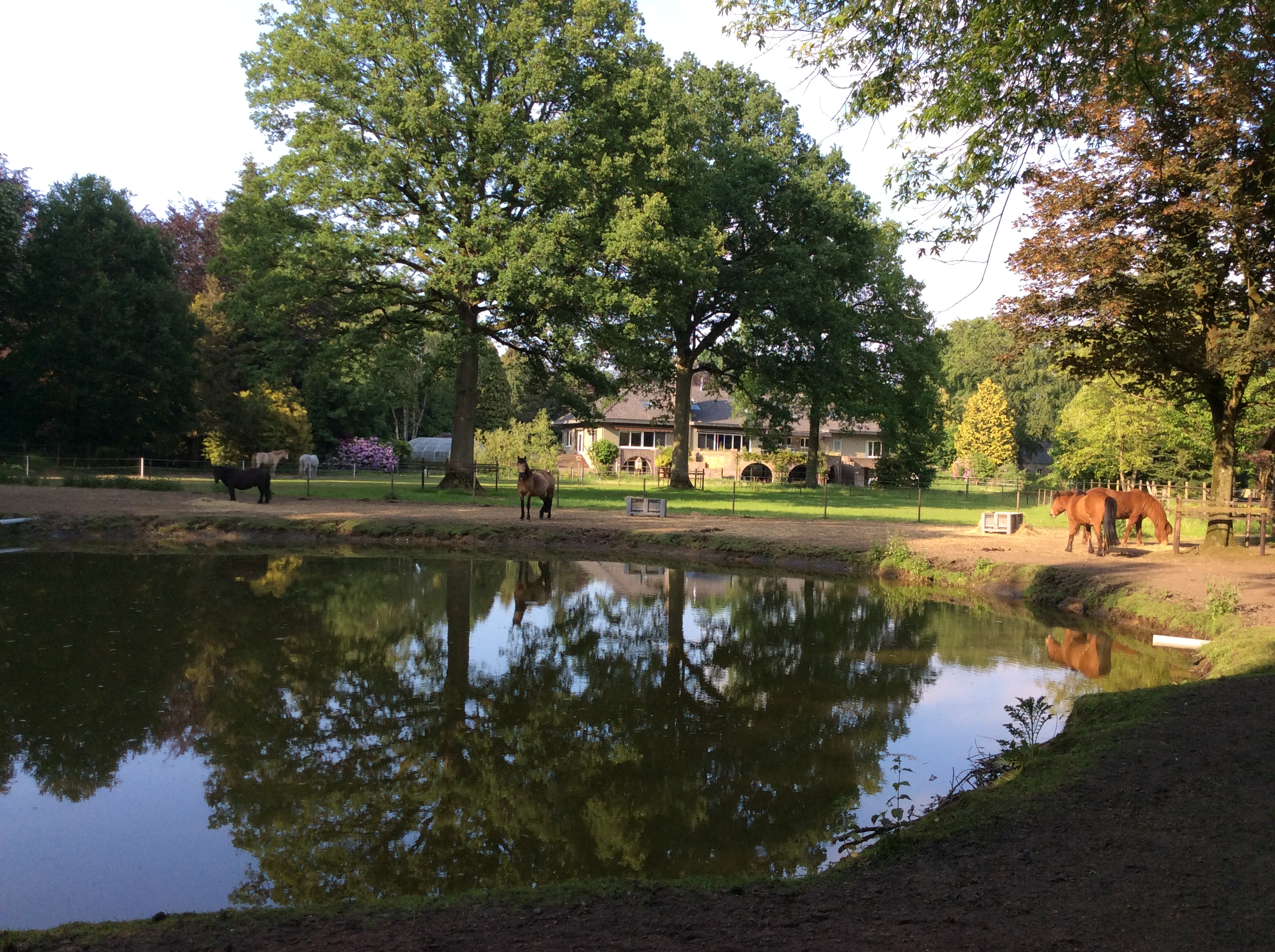 Thuisbasis SoulHorses, Gierle