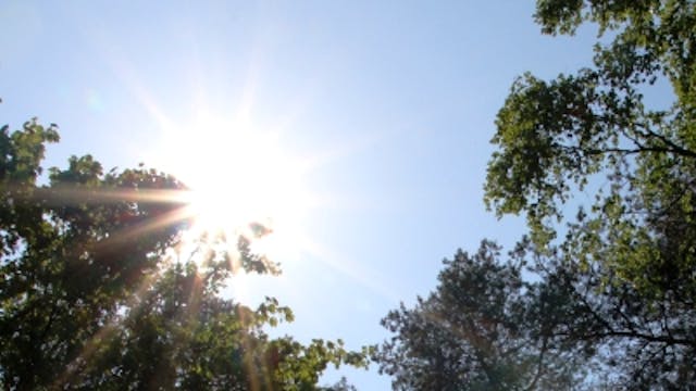 Studiedag Relatieopbouw Moslims-Christenen