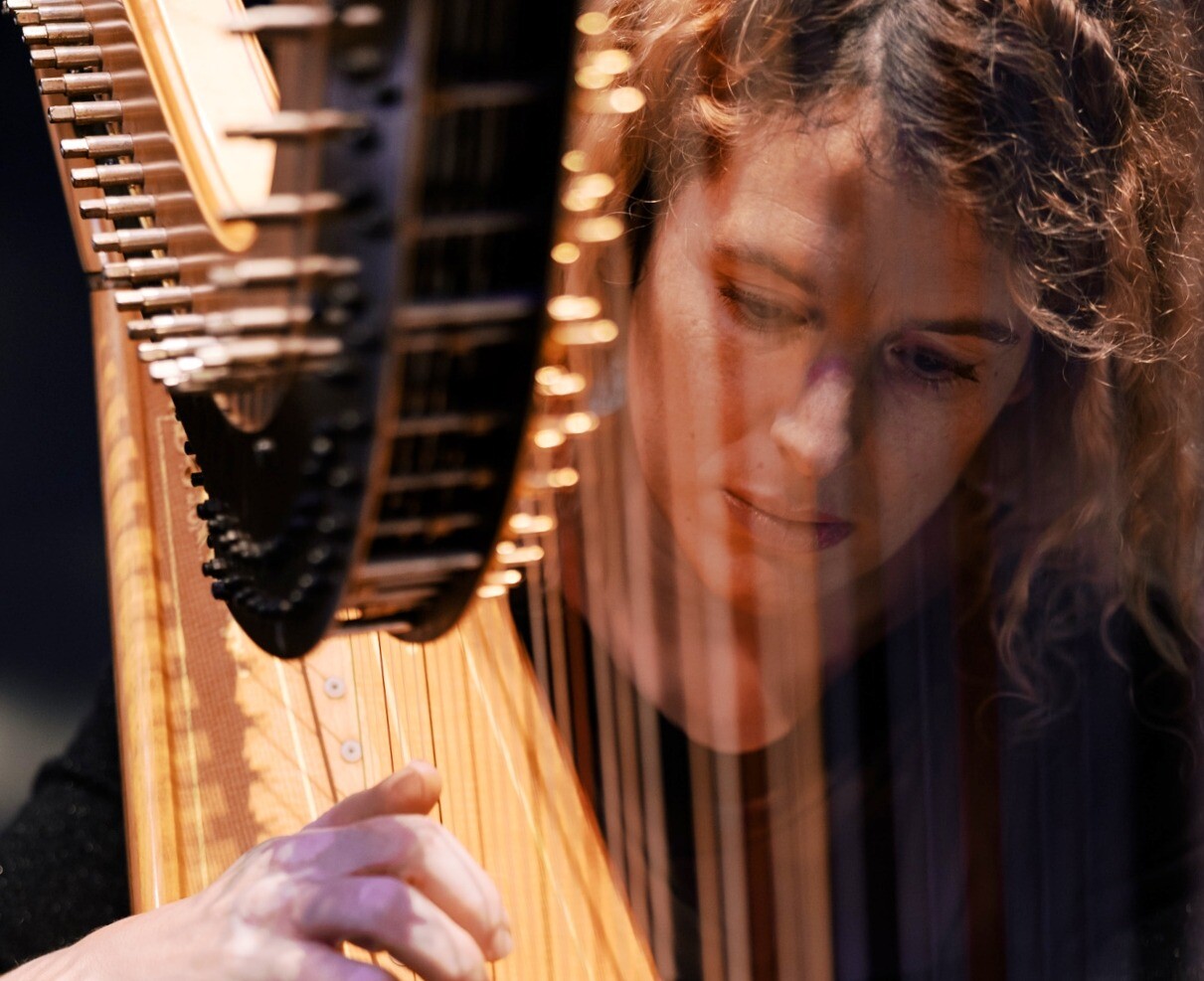 Afbeelding voor evenement De harp en de cello