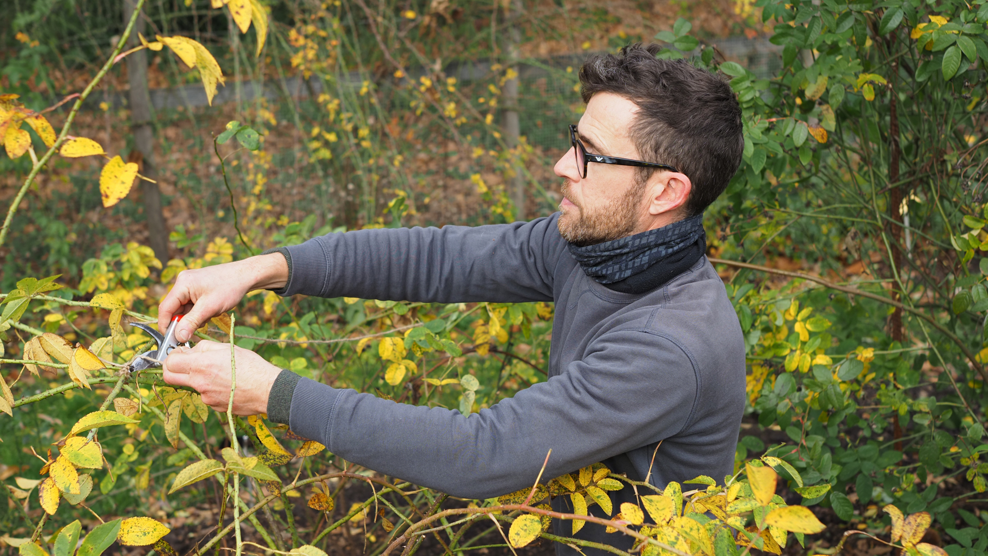 Tuinier Wouter in de Rozentuin