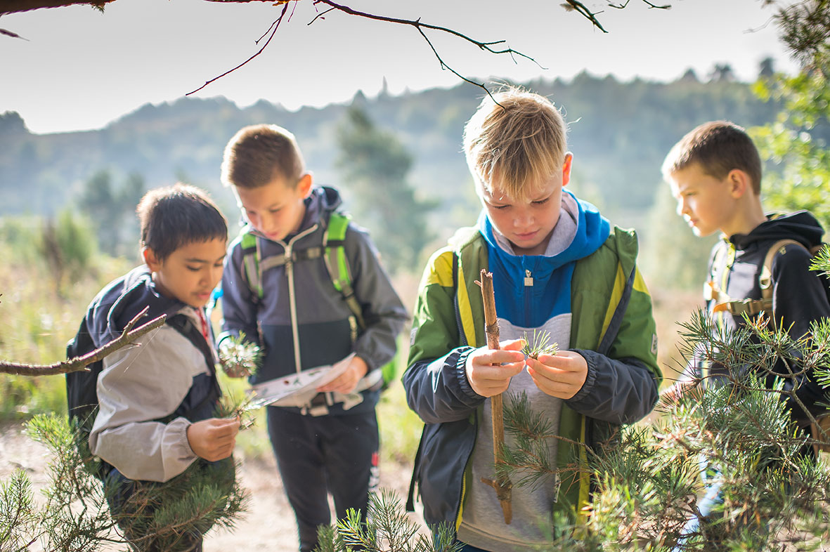 Safari Nationaal Park