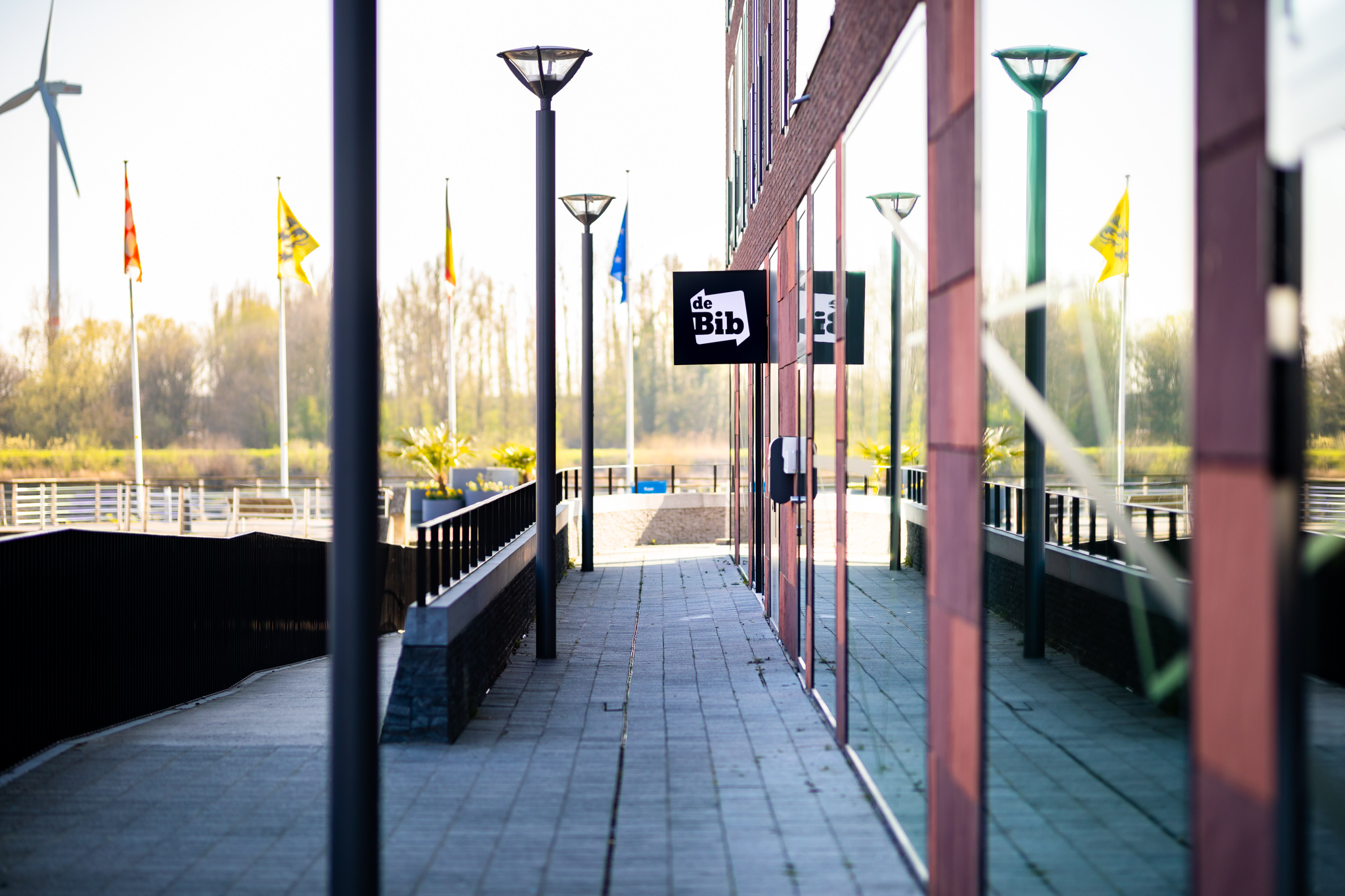 bib Boom - Windstraat