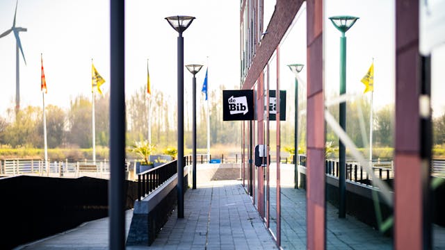 bib Boom - Windstraat