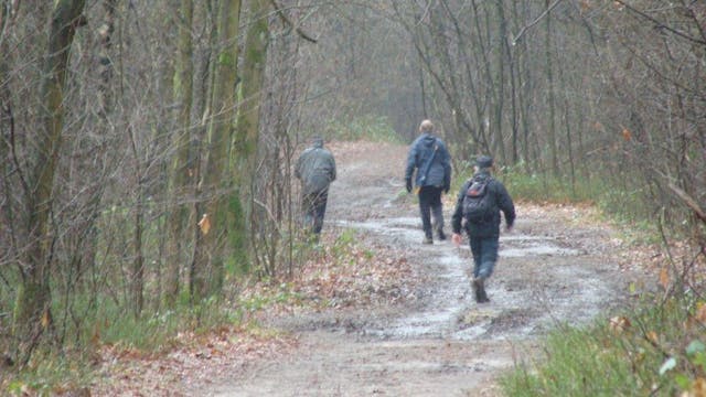 Wandelaars in het bos!