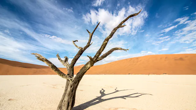 Fototentoonstelling Kristof Verbrugghe en Robbe Van den Begin