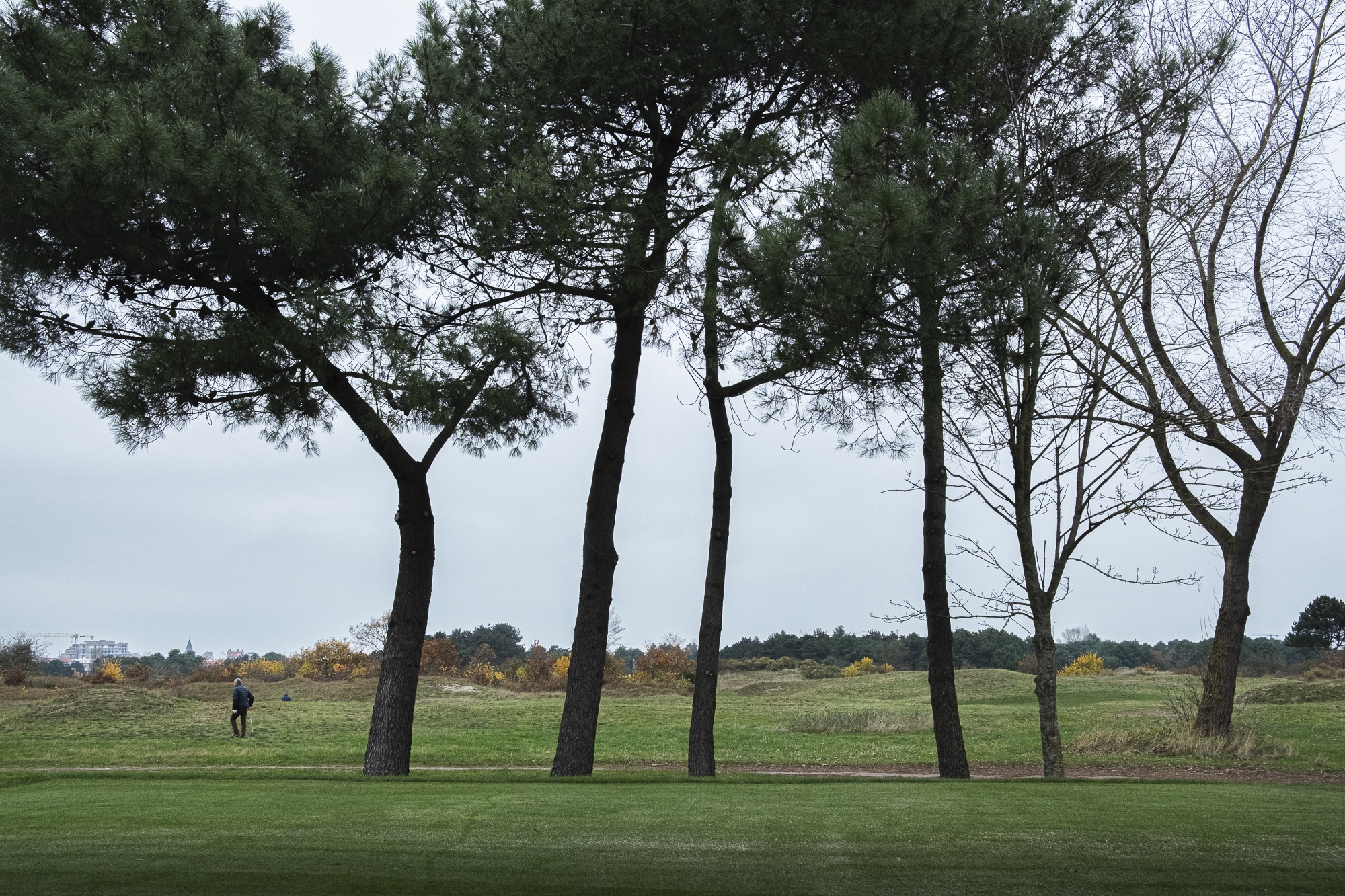 Fotografie on the road: de rafelrand (maart)