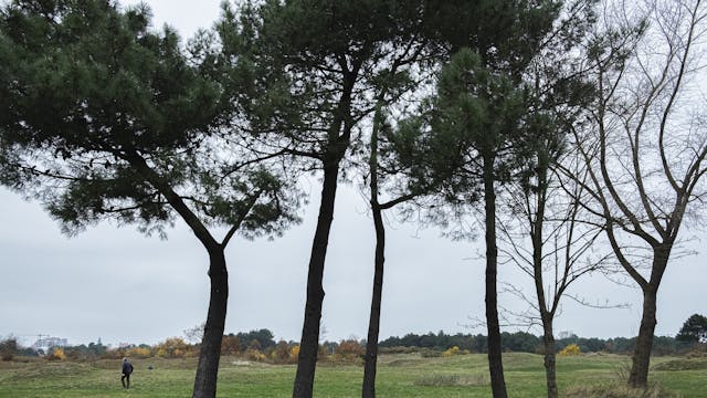 Fotografie on the road: de rafelrand (maart)