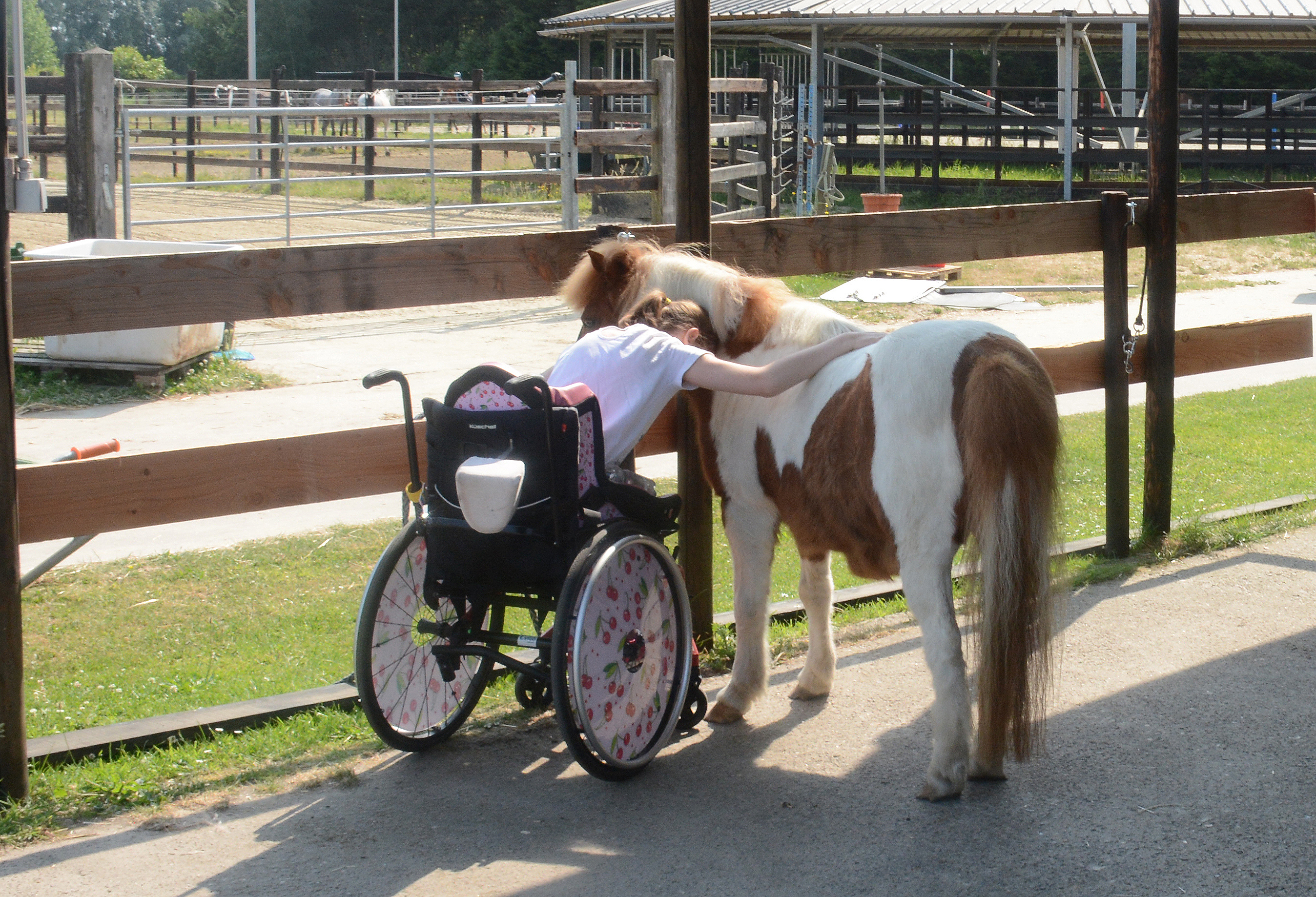 Genieten van ponyknuffelen