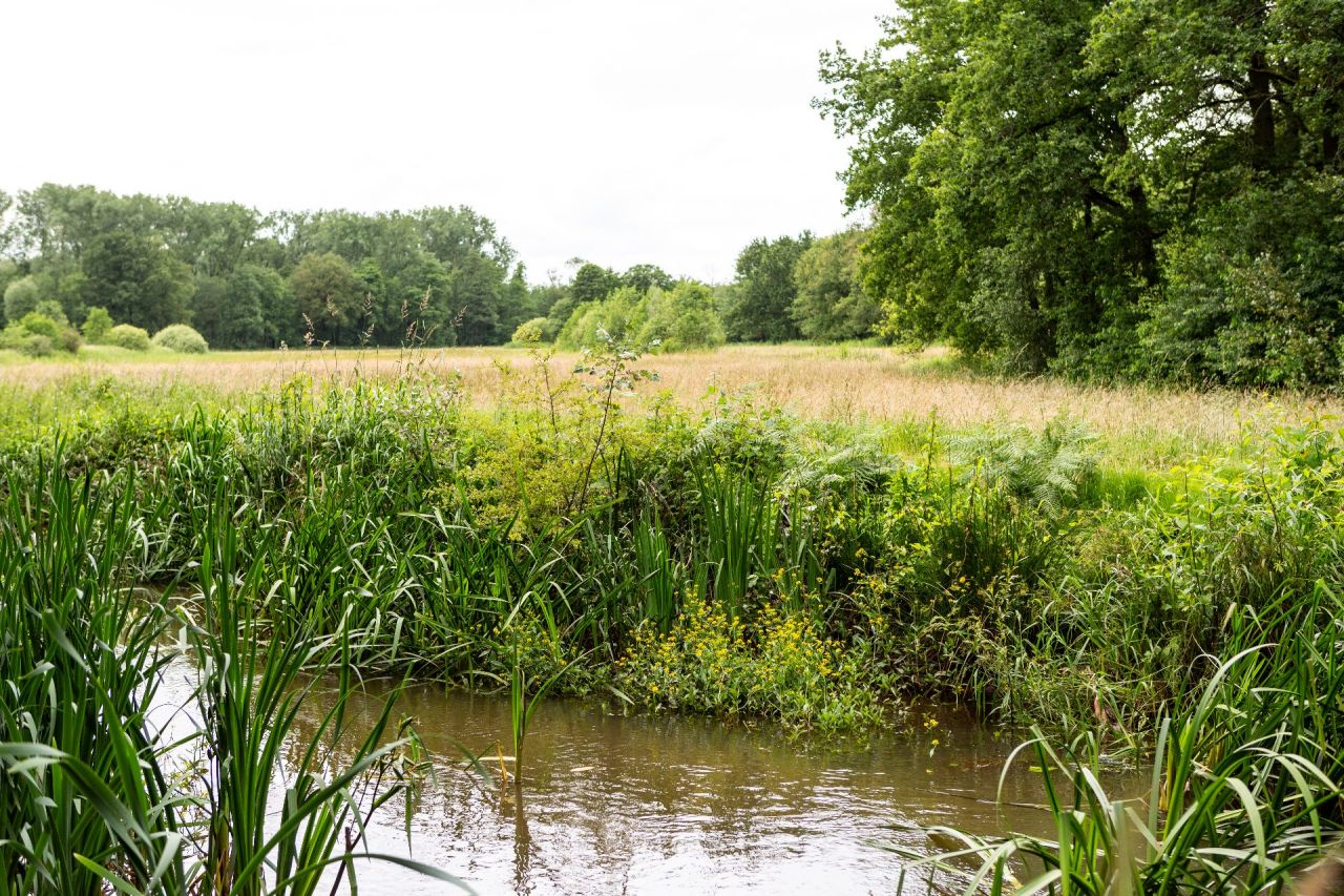 Archeologie in de Schijnvallei
