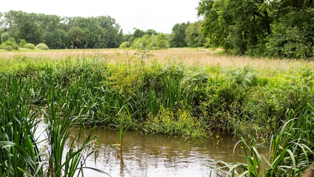 Archeologie in de Schijnvallei