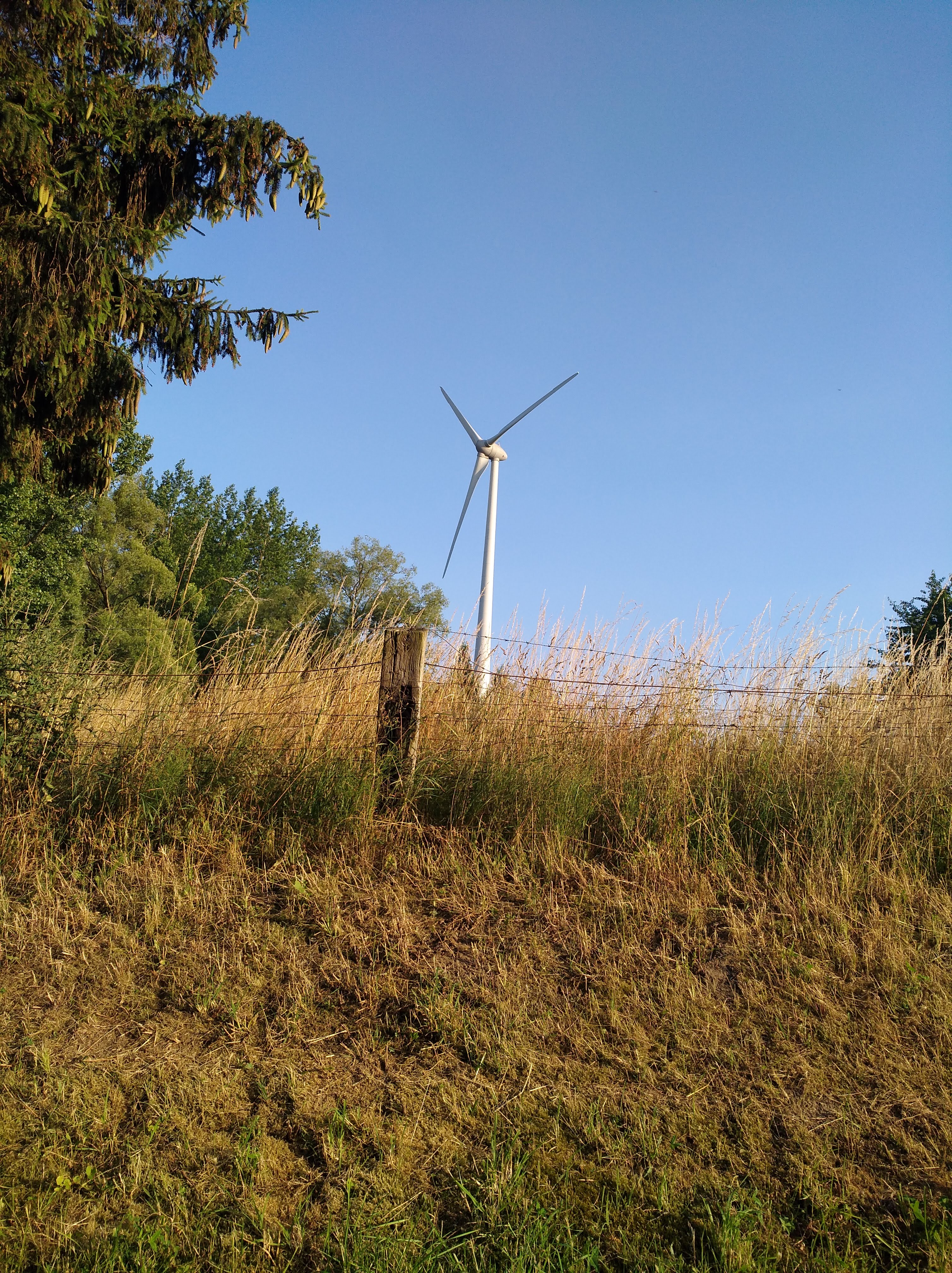 Windmolen langsheen het Ter Heydenpad