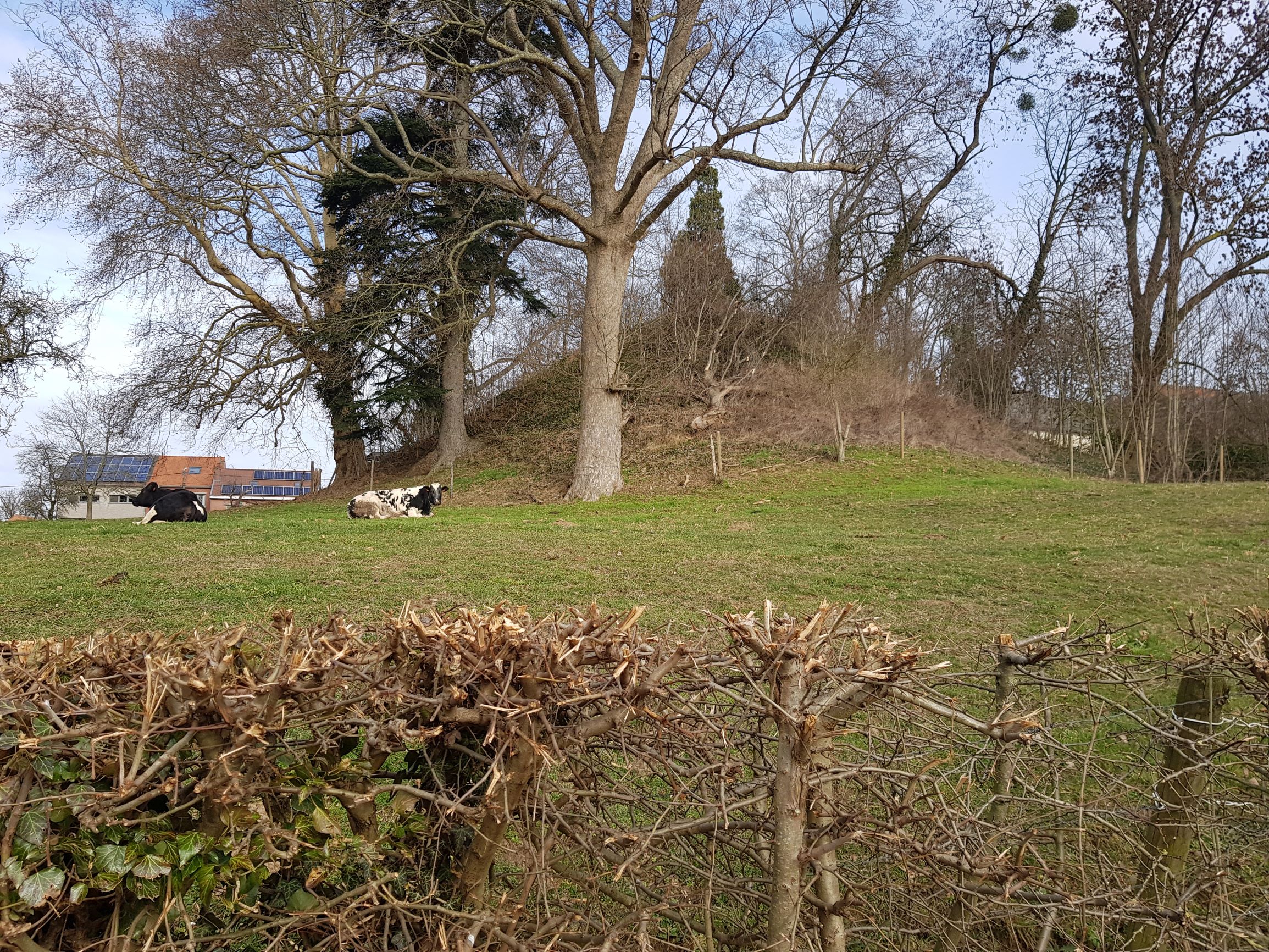 Romeinse tumulus in Herderen
