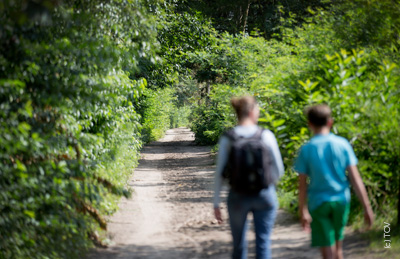 7.2 km - De omgeving biedt je een fraaie brok Scheldenatuur met een rijke verscheidenheid aan landschappen: bossen, velden, plassen en moerassen.