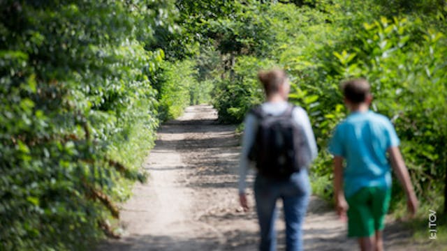 7.2 km - De omgeving biedt je een fraaie brok Scheldenatuur met een rijke verscheidenheid aan landschappen: bossen, velden, plassen en moerassen.