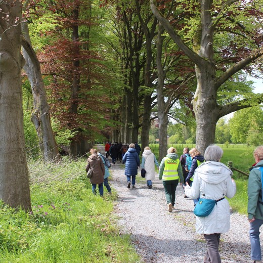Provinciale Neos-wandeling Keerbergen