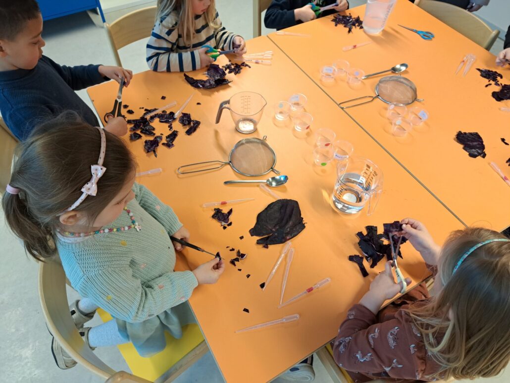 WORKSHOP CHEMIE: ZUURTEGRAAD VAN (FRIS)DRANK EN ANDERE VLOEISTOFFEN ONDERZOEKEN