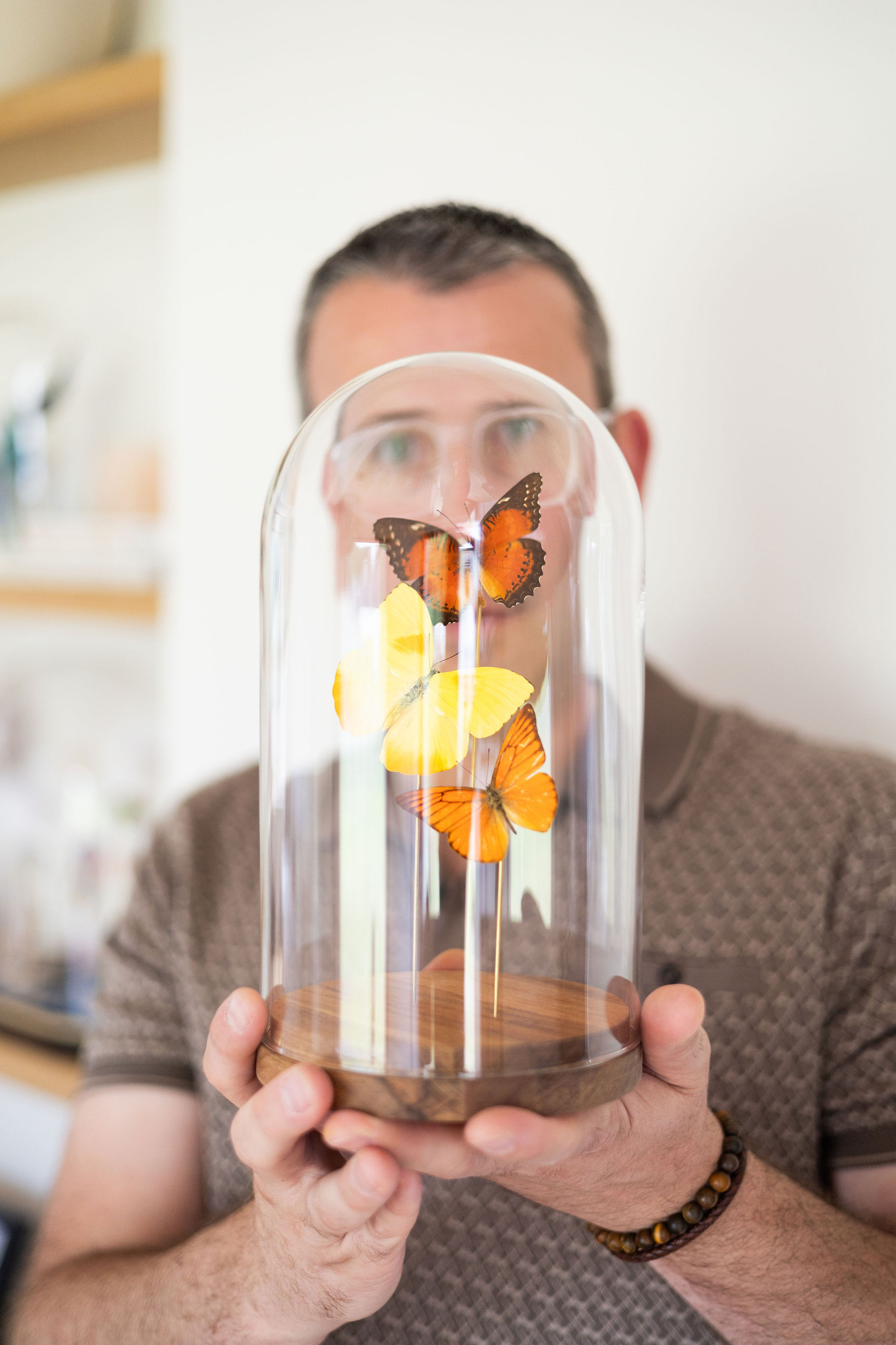 kabinetalfred-djulibravenboer-33