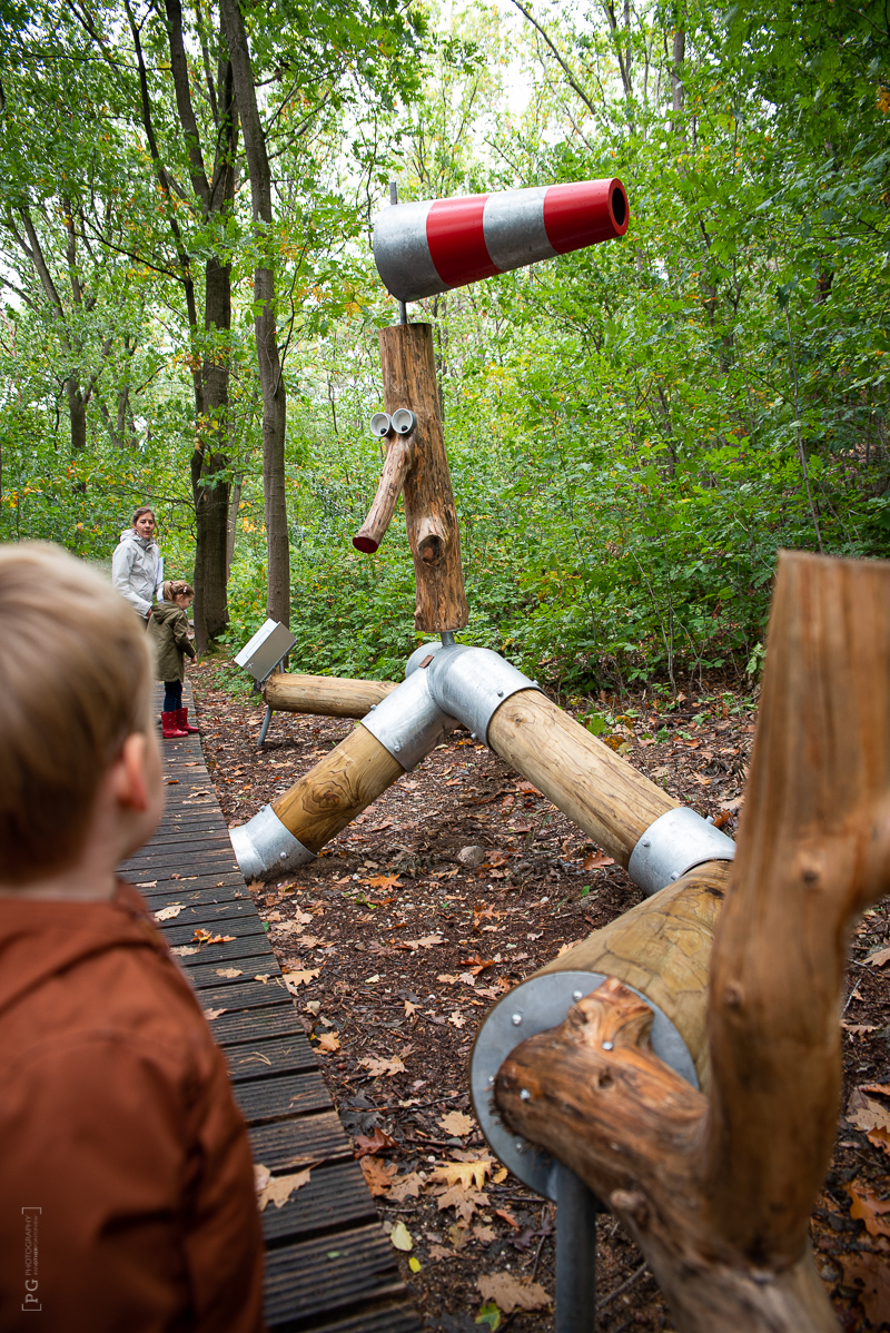 Stokkenmanroute met ranger nationaal Park Hoge Kempen