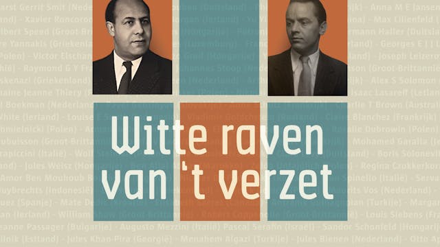Campagnebeeld 'Witte raven van 't verzet'