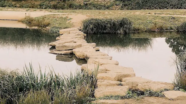 Dansworkshop: reis rond de wereld in het Kapermolenpark Hasselt