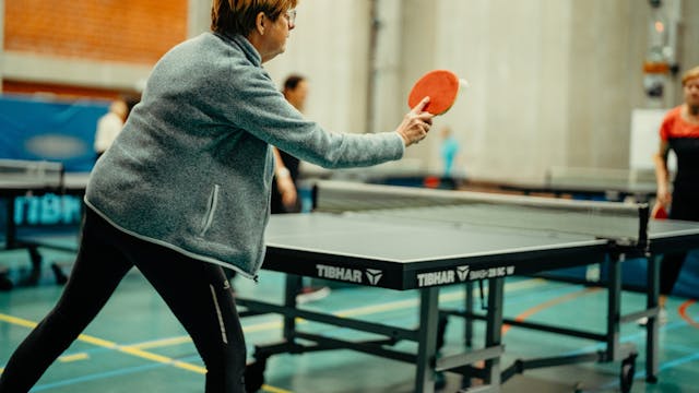 GEMEENTEBESTUUR KNOKKE-HEIST