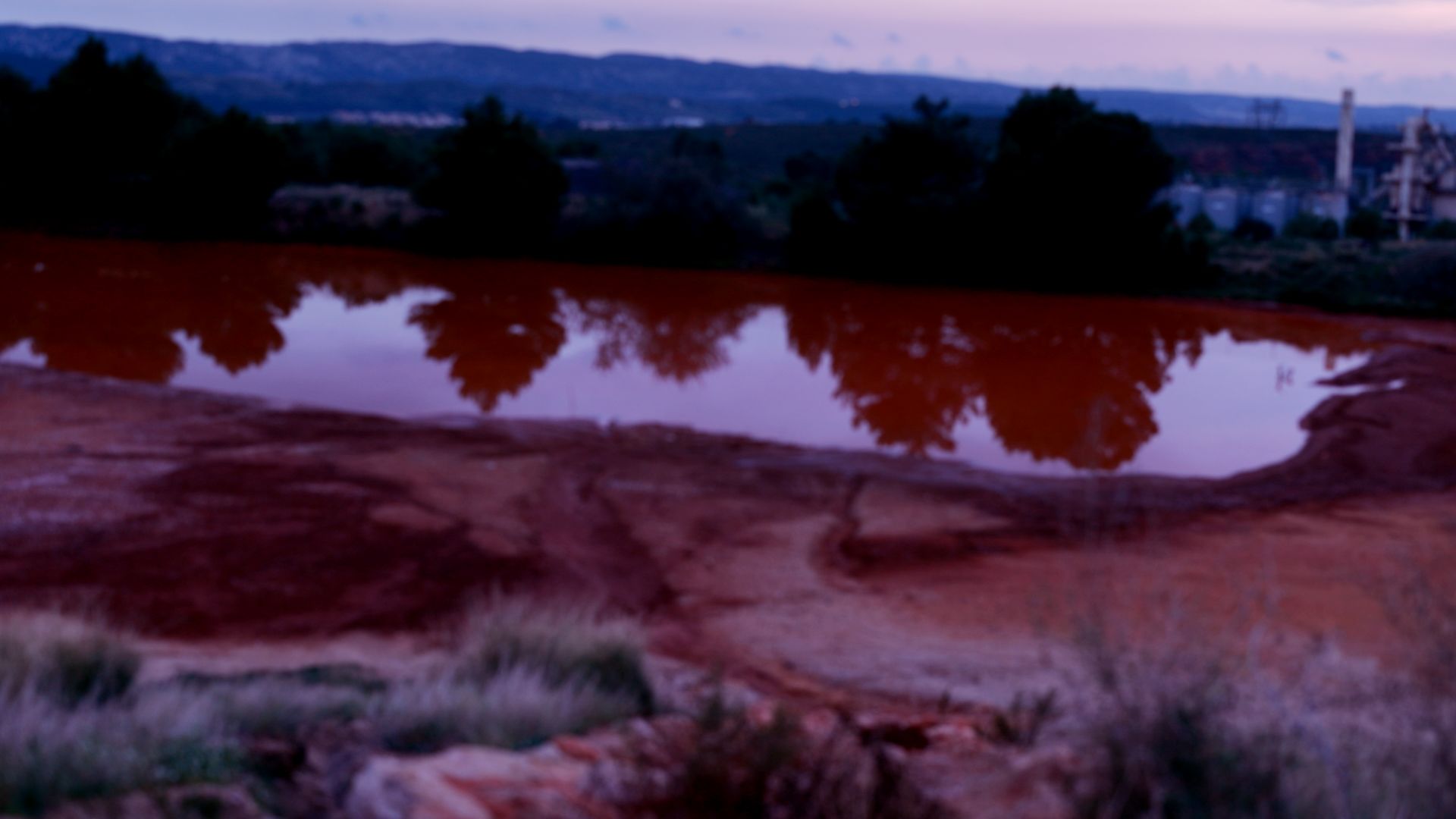 Wastories - HYOID & Eva Reiter