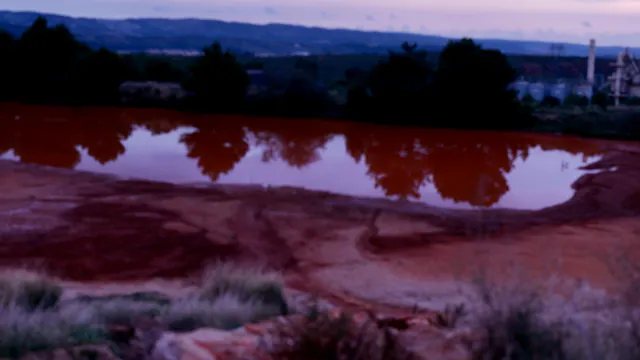 Wastories - HYOID & Eva Reiter