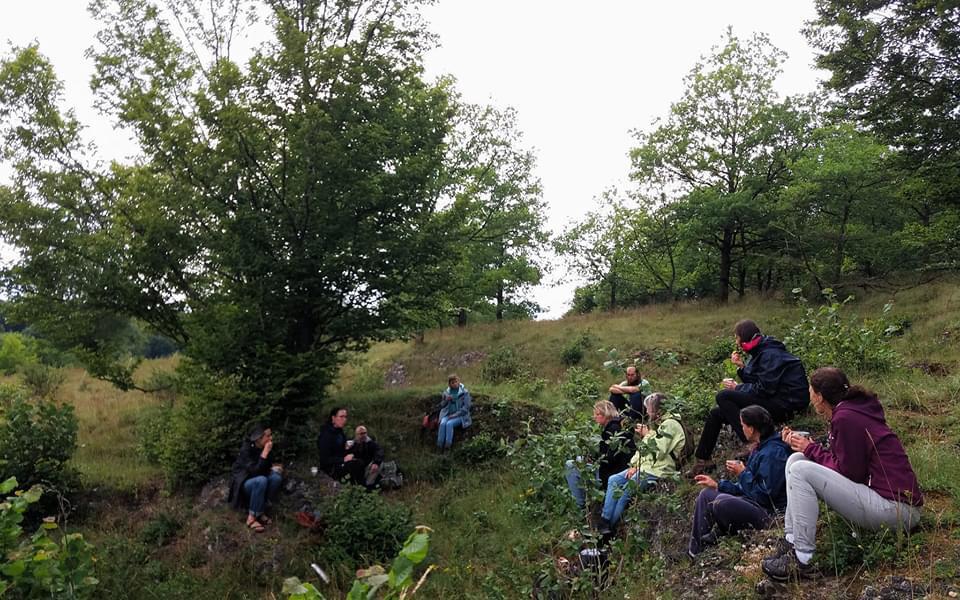 Shinrin-yoku: therapie in het bos