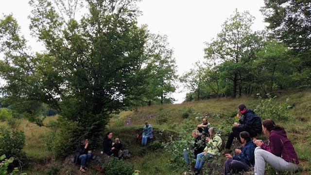 Shinrin-yoku: therapie in het bos